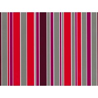 Everyday Premium Coated Gift Wrap R65401B